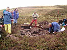 Rendall Cist Discovery
