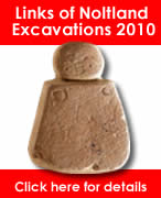 Ring of Brodgar Excavation 2008
