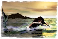 Mermaid: Illustratian by Sigurd Towrie