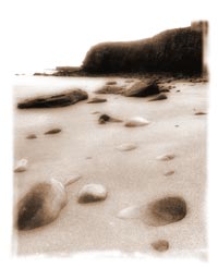 Beach Rocks: Pic Sigurd Towrie