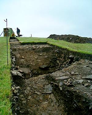 Minehowe Ditch: Picture by Sigurd Towrie