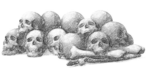 Neolithic Skulls. Illustration by Sigurd Towrie