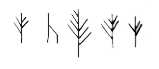 Brodgar Runes